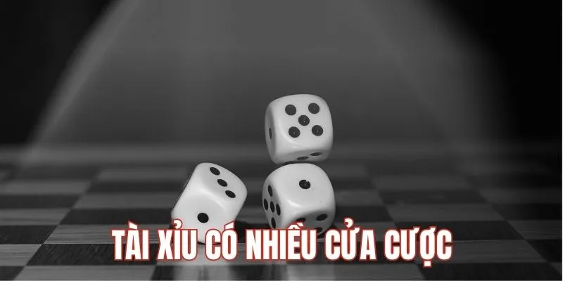 Tài xỉu sở hữu nhiều cửa cược khác nhau